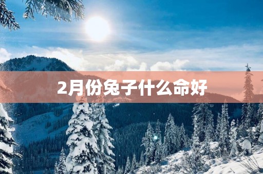 2月份兔子什么命好