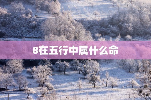 8在五行中属什么命
