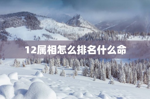 12属相怎么排名什么命