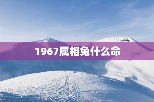 1967属相兔什么命 1967属相兔什么命