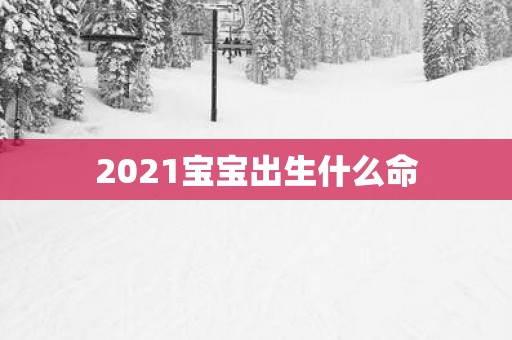 2025宝宝出生什么命