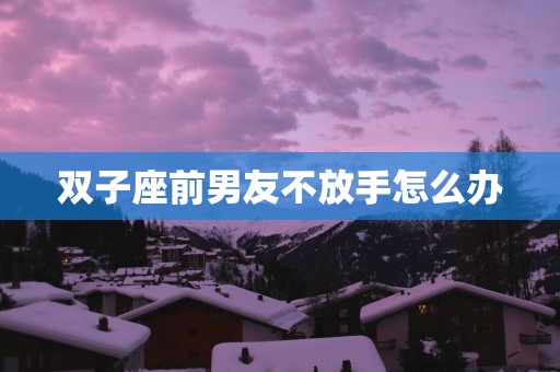 双子座前男友不放手怎么办