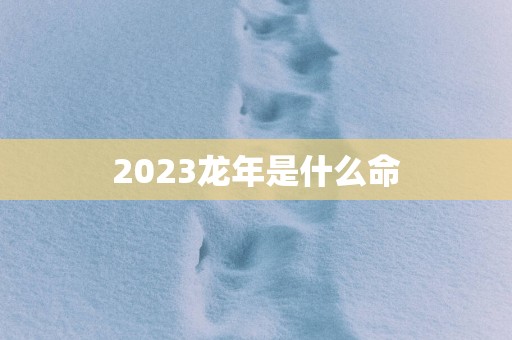 2025蛇年是什么命