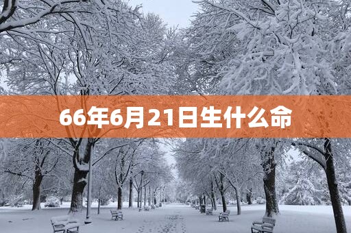 66年6月21日生什么命