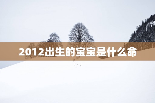 2012出生的宝宝是什么命