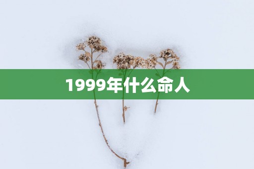 1999年什么命人