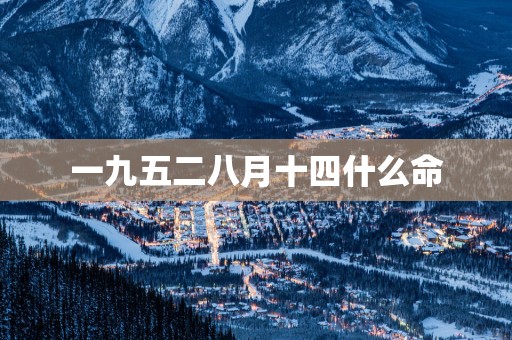 一九五二八月十四什么命
