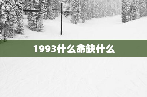1993什么命缺什么