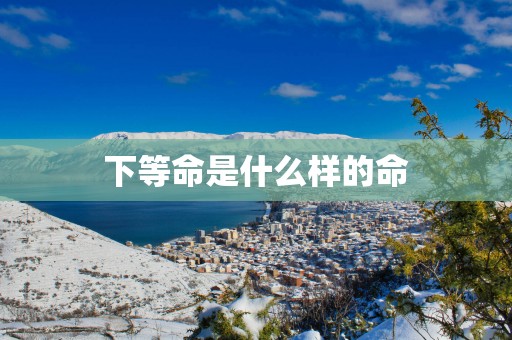 下等命是什么样的命
