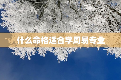 什么命格适合学周易专业