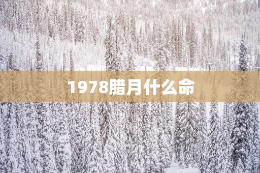1978腊月什么命