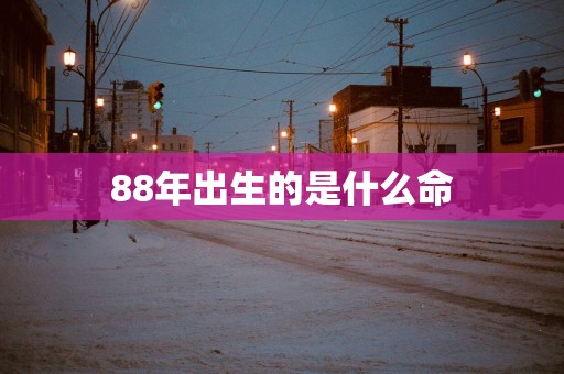 88年出生的是什么命