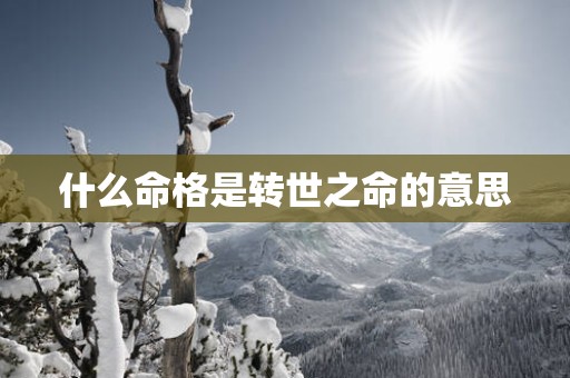 什么命格是转世之命的意思