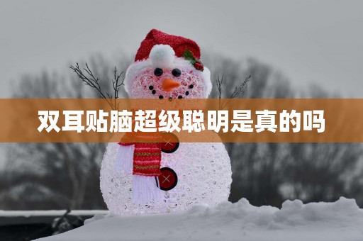 双耳贴脑超级聪明是真的吗