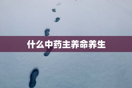 什么中药主养命养生