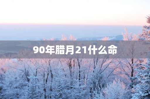 90年腊月21什么命
