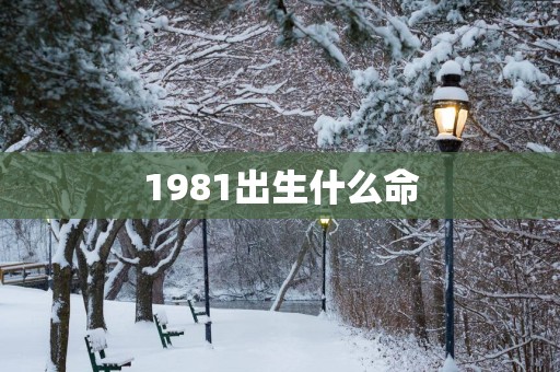 1981出生什么命