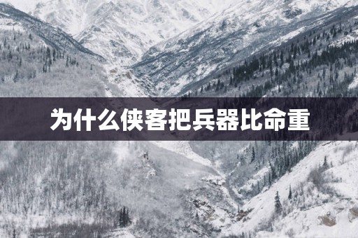 为什么侠客把兵器比命重