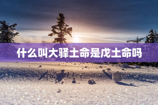什么叫大驿土命是戊土命吗