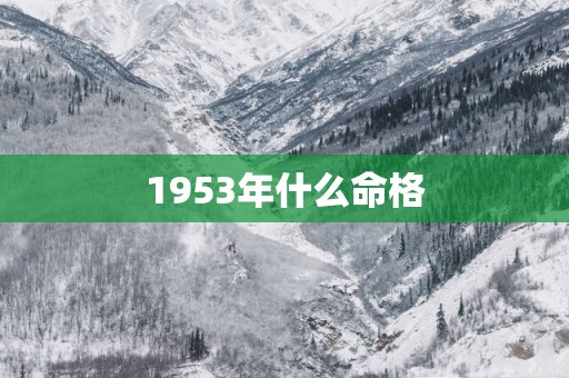 1953年什么命格 1953年什么命格