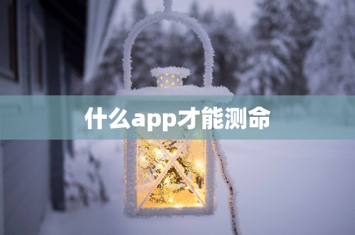 什么app才能测命