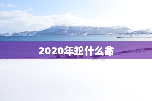 2025年蛇什么命