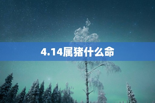 4.14属猪什么命