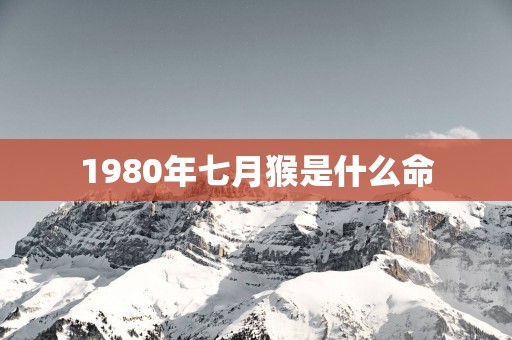 1980年七月猴是什么命