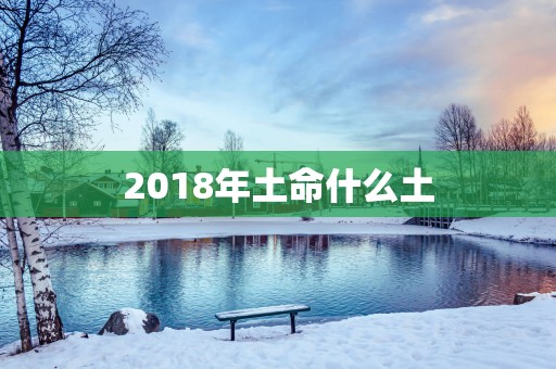 2018年土命什么土