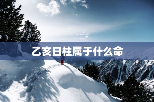 乙亥日柱属于什么命