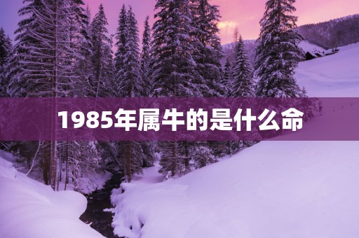 1985年属牛的是什么命