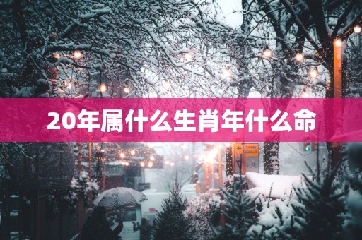 20年属什么生肖年什么命