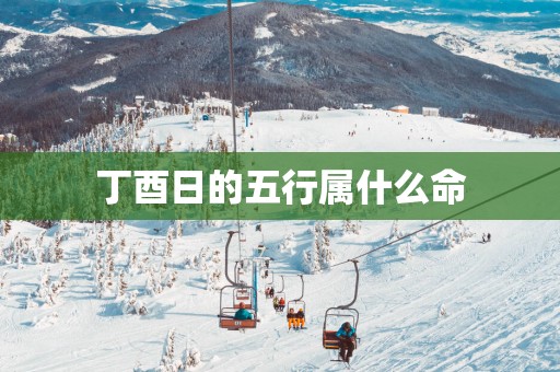 丁酉日的五行属什么命
