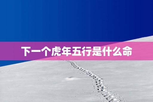 下一个蛇年五行是什么命
