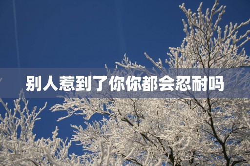 别人惹到了你你都会忍耐吗
