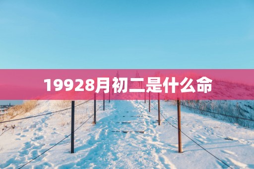 19928月初二是什么命