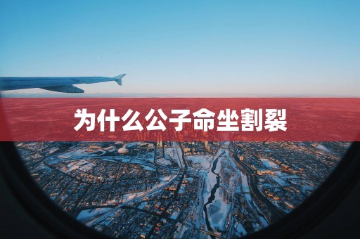 为什么公子命坐割裂