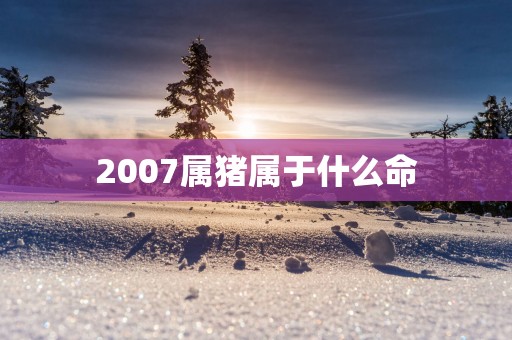 2007属猪属于什么命