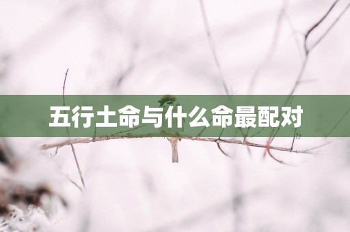 五行土命与什么命最配对