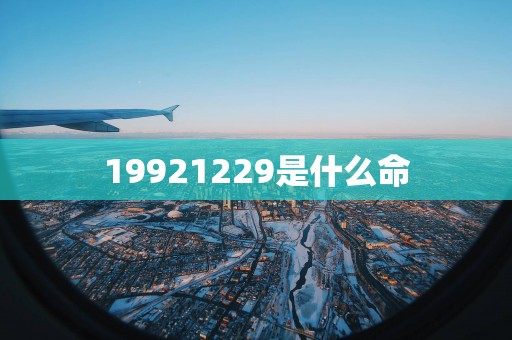 19921229是什么命