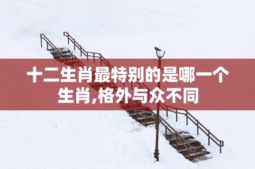 十二生肖最特别的是哪一个生肖,格外与众不同