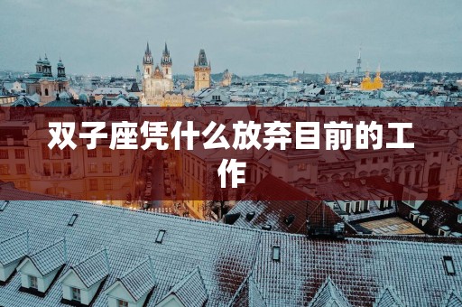 双子座凭什么放弃目前的工作