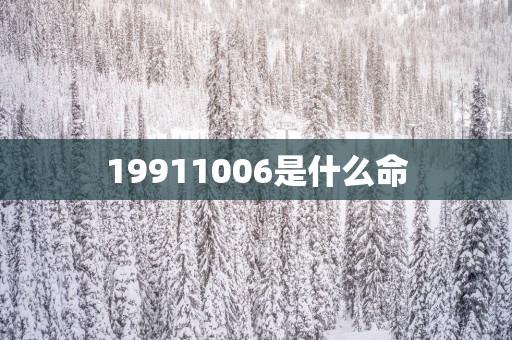 19911006是什么命