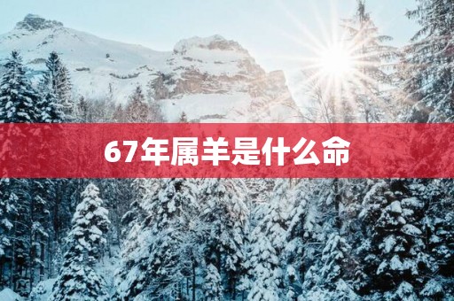 67年属羊是什么命
