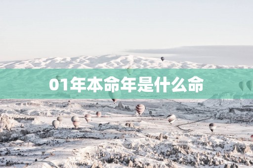 01年本命年是什么命