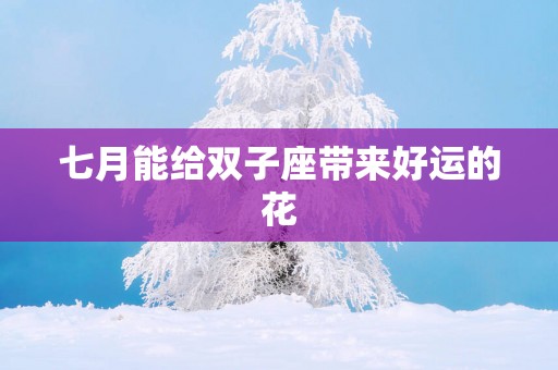 七月能给双子座带来好运的花