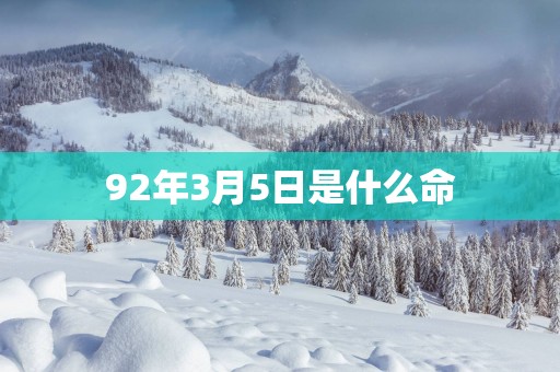 92年3月5日是什么命