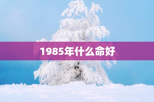 1985年什么命好