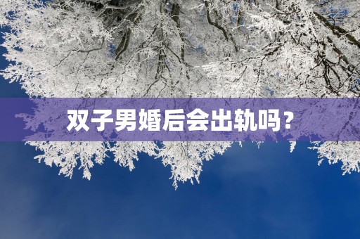 双子男婚后会出轨吗？