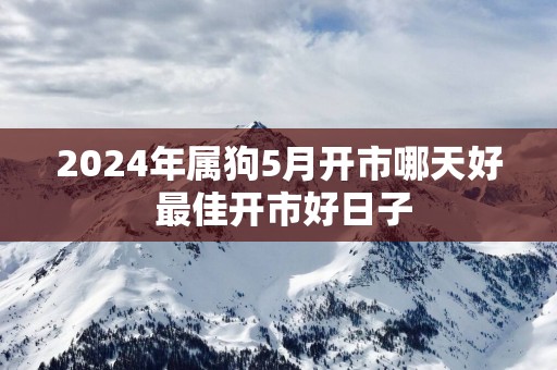 2025年属狗5月开市哪天好 最佳开市好日子